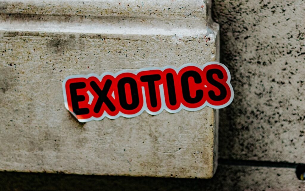 invoice extraction agent — photo by Jon Tyson on Unsplash