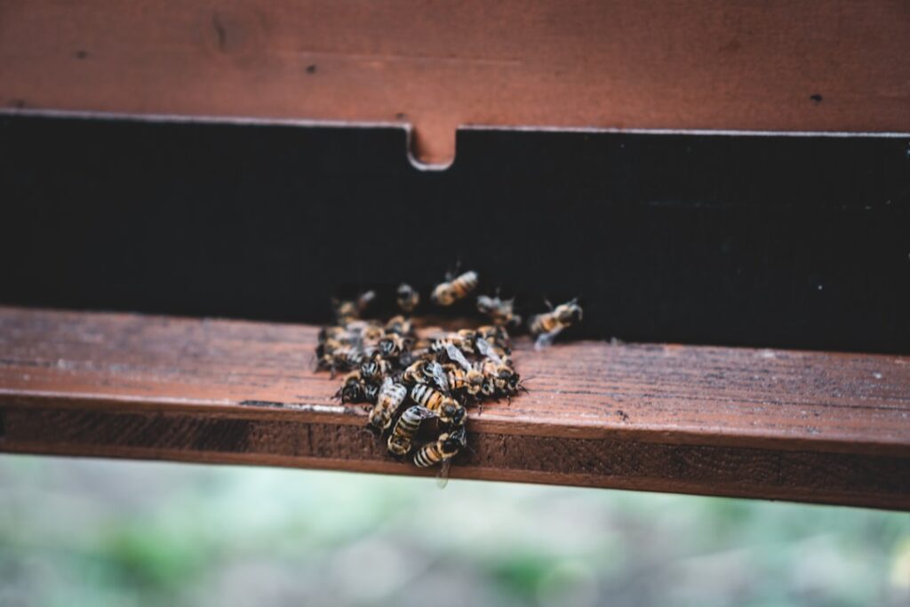 self-hosting vs API cost — photo by Jonathan Kemper on Unsplash