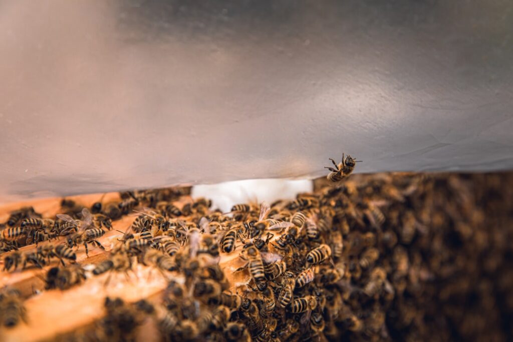 Streaming Claude agent responses in production: real-time output without waiting for completion streaming Claude API agents — photo by Bianca Ackermann on Unsplash